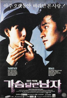 年年有熊免费无会员观看